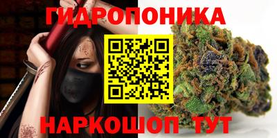 гидропоника Краснокаменск