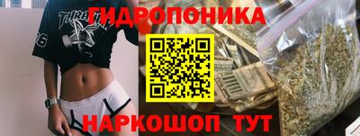мяу мяу мука Краснознаменск