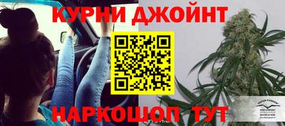 мяу мяу мука Краснознаменск