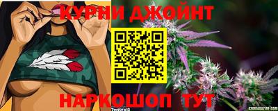 мяу мяу мука Краснознаменск