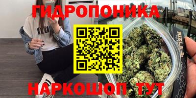 гидропоника Краснокаменск