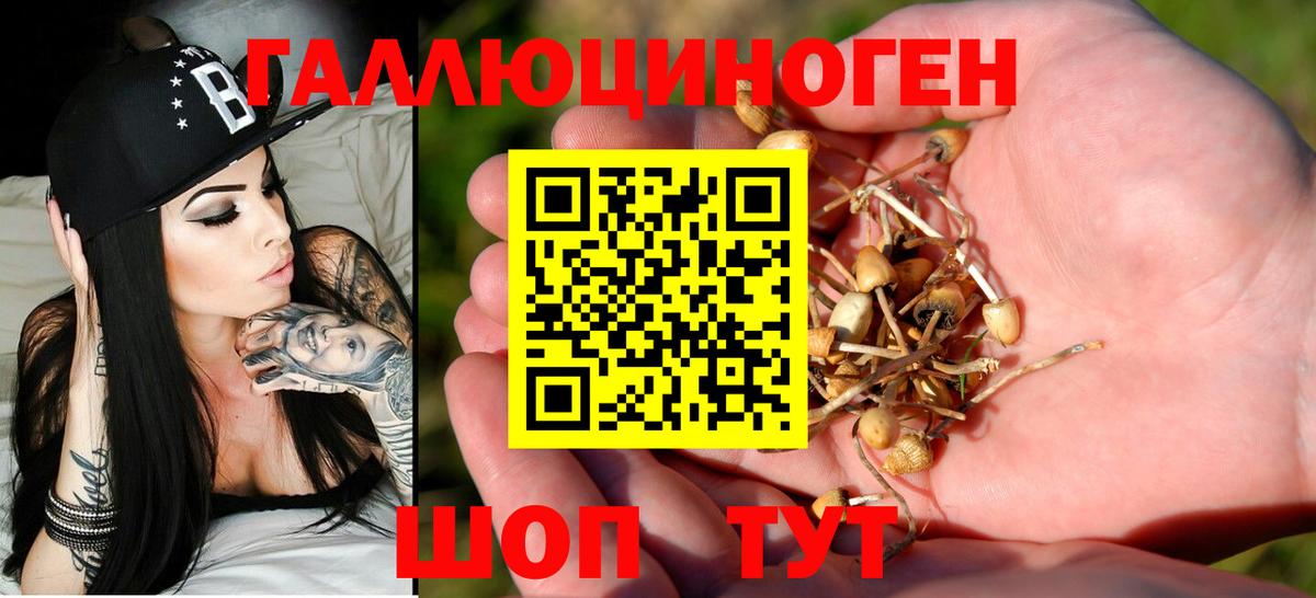 Галлюциногенные грибы мухоморы Касимов