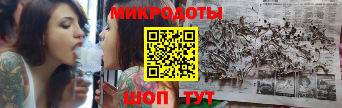 Галлюциногенные грибы мухоморы  Псилоцибиновые грибы мухоморы  сколько стоит  Касимов  Вход с VPN 